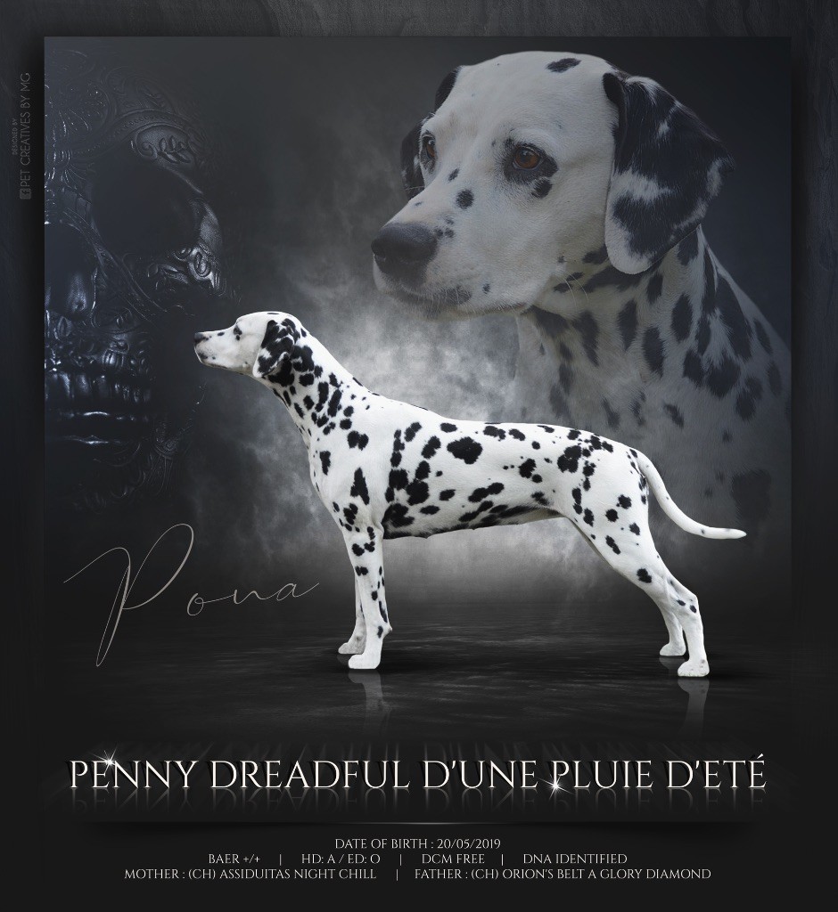 Penny dreadful d'une pluie d'été